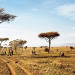 masai mara trips